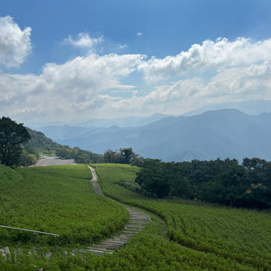 背景探しの旅　翠波高原