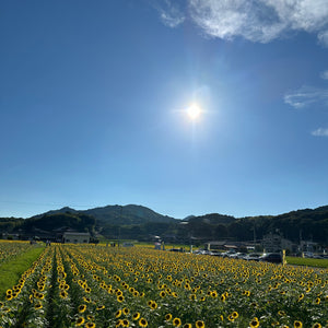 暑い夏こそ冷えたスタジオで撮影！