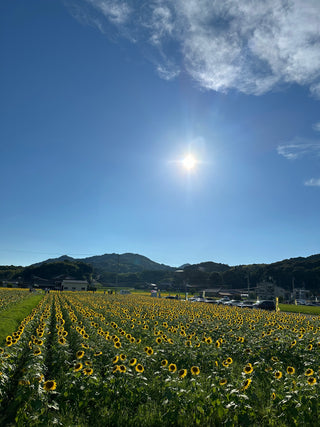 暑い夏こそ冷えたスタジオで撮影！